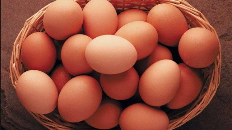 (Literasi Kelas X) Mengapa Telur Berbentuk Oval, ya? Cari Tahu Rahasianya, yuk!