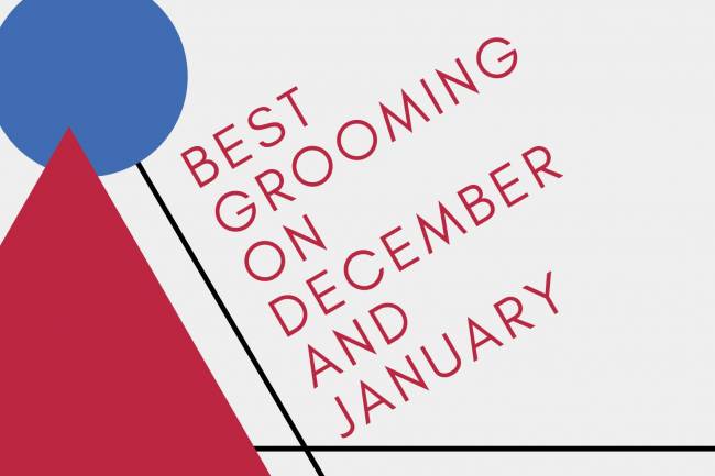 BEST GROOMING ON DECEMBER AND JANUARY