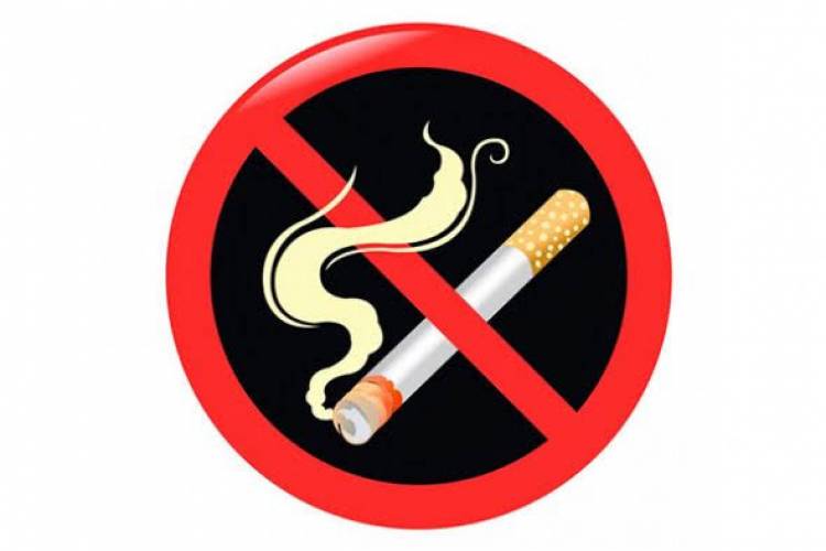 (LITERASI X, XI, XII ) Mengulik Lebih Dalam Soal Bahaya Merokok Pada Daya Tahan Tubuh Manusia